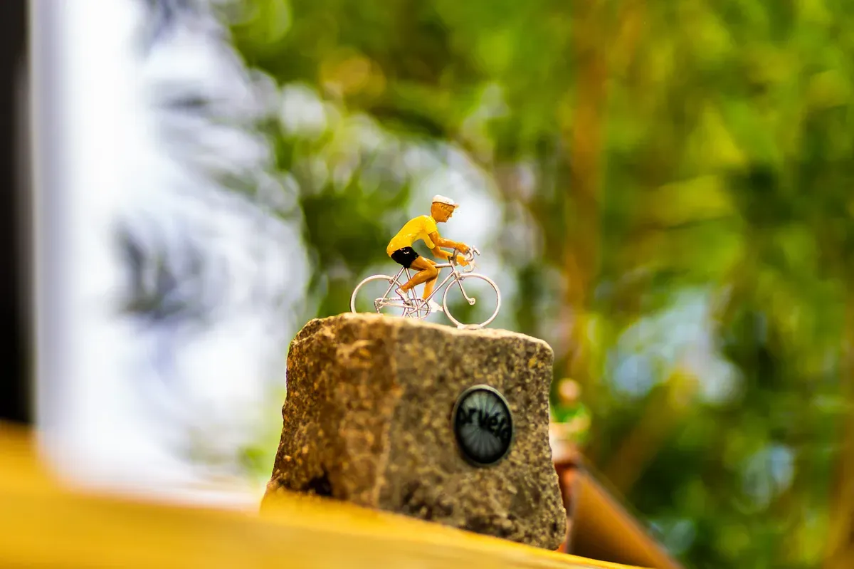 MEET THE EXPERTS by VDW BIKES - Gallery