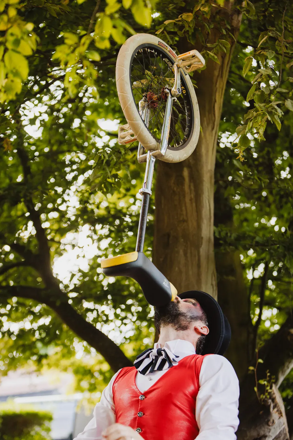 SUMMER CIRCUS - Gallery