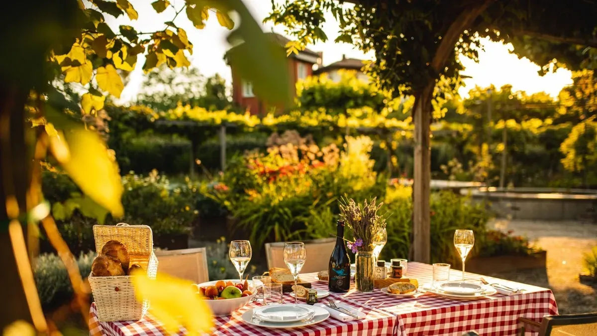COCCOLARE THE ART OF HEALTY LIVING - Gallery