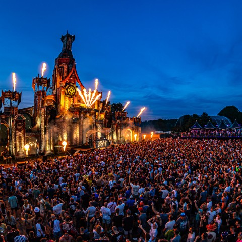 THE QONTINENT - Gallery